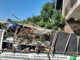 Best Basement Cleanout  in Colonia, NJ